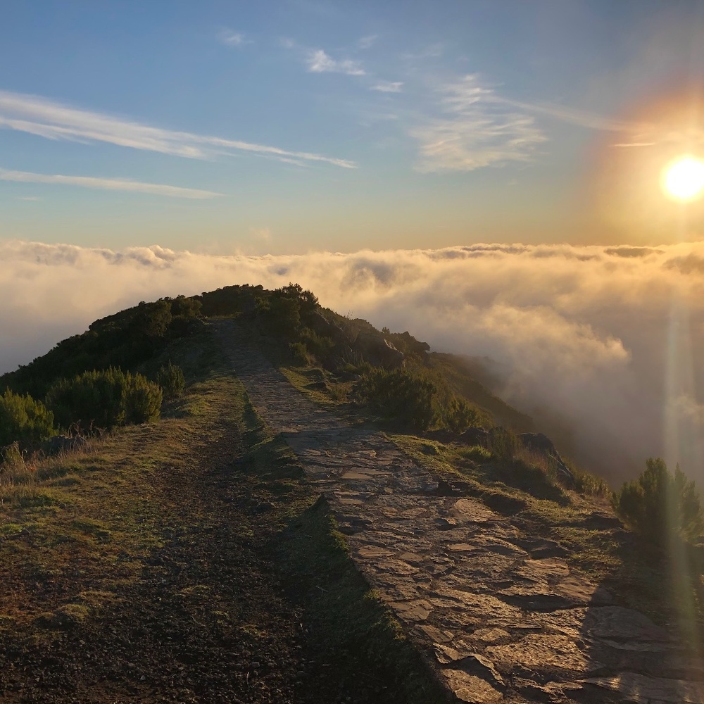 Meet your Posher, Esther